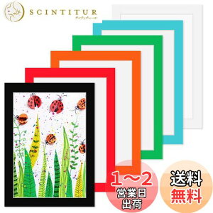 yzHaojiaho Wp tHgt[ 6Zbg A4TCY ypCz q̊G Wp A[gt[ Ǌ|  y Jt G拳 G W y[p[tHgt[
