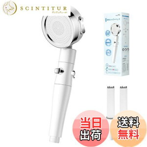 yzEaimiu V[wbhy2025Nɉǌ^zߐ f V[ 3iK[h |  ᐅ V[Ewbh 360° ʐ 茳~ V[ wbh ŋ 