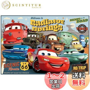 【送料無料】スケーター(Skater) 子供用 レジャーシート 遠足 Sサイズ 60×90cmサイズ ディズニー カーズ 24 VS1-A