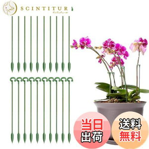 yzCoollooda |xy20{gZbgzϗtx Ax Ԃ ϗtA xI Ԏx K[fjO  AT|[g K[fjO ƒ؉ _Ɨp |p O[ 27cm