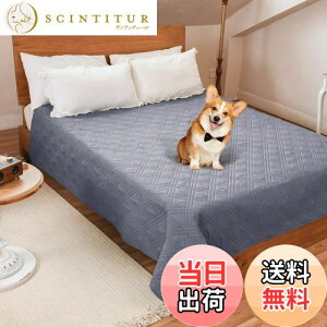 yzLOOBANI hJo[ xbh hV[c VO _u xbh  Lp xbhJo[ h \t@[ hV[c Rh~ ~ ƋveN^[ ۂƐ􂦂 ݑϐ 