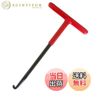 yzolH oCNpGL][XgXvOtbN }t[XvO Tnh olOH AbZu[pCv oCNi