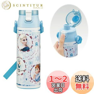yzXP[^[(Skater) qp XeX   580ml fBYj[ AiƐ̏ 24 qɗDyʃ^Cv ۗp waterbottle X|[c{g  LbY q ǂ 