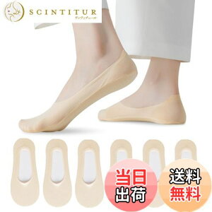 yz[Caudblor] pvXpC EȂ Jo[\bNX fB[X ΂ 󗚂 pvX \bNX ėp  6Zbg