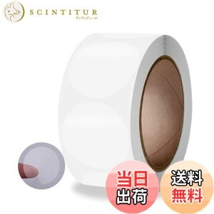 yzMINBOOT V[  (a2.5cm) 500 bsO o^C 肪Ƃ Mtg V[͂ 