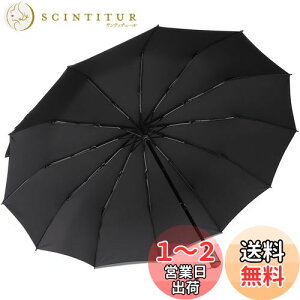 yz܂肽ݎP ZruieryTCYE12{z ܂ݎP y Y fB[X 傫 12{ xOXt@Co[ ϕ 蓮J 肽ݎP 䕗Ή JΉ 