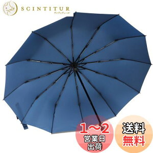 yz܂肽ݎP ZruieryTCYE12{z ܂ݎP y Y fB[X 傫 12{ xOXt@Co[ ϕ 蓮J 肽ݎP 䕗Ή JΉ 