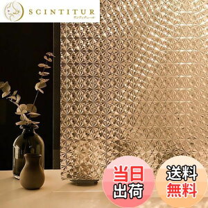 yzJuangfia ptB ߂V[g  \蒼\ \ UVJbg ΍ fMV[g Uh~ ډBV[g hƃtB KXtB 60cm*10m