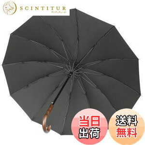 yzy̋ɓPzZruier P Y P JP 230TxOXt@Co[? 12{   唻 130cm ϕP WvP ^b` amP 䕗Ή JpP [|[