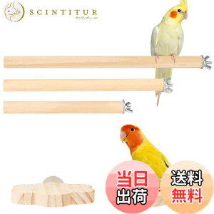 yzIRRVIN 5Zbg p~܂ CR Ƃ܂ X^h CR  p[` CR܂𖁂 ނ xݏꏊ XgX Vѓ P[WX^h tȒP