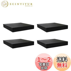 【送料無料】DELUXEFOX ゴム板【4個入り】5cm正方形 ベッド 傷防止 防振ゴムの重い家具保護 高さ調整ゴム 滑り止め ゴム板 黒 防音ゴム 振動吸収の多目的防振ゴム【厚さ10mm】