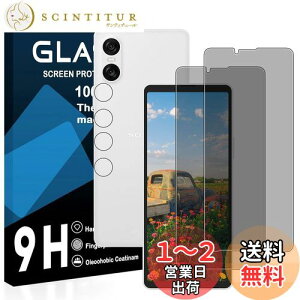 yzy2`h~tB+2Yی zΉ Xperia 10 VI KXtB 猩Ȃ GNXyA 10 VI tB `h~y {Ɏq KX t یtB d