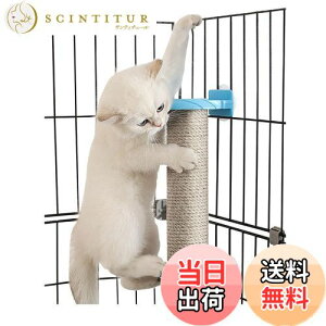 yzSensaBliss L܂Ƃ|[ ܌|[ L ܌ VRTCU L ܂݂ XgX ^s΍ ߂Ƃ ܌ ܂Ƃ XNb`|[ cu^ g