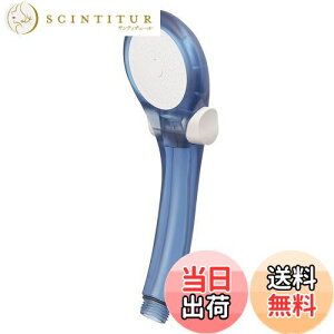 yzSANEI(TGC) V[wbh VW[ ߐE茳Xgbv XPgu[ PS39631-80XA-CB6