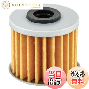 �y���������z�L�W�}(Kijima) �o�C�N�p�[�c �I�C���t�B���^�[ �G�������g�^�C�v 15412-MGS-D21 DCT 36mmx38/40mm 105-536