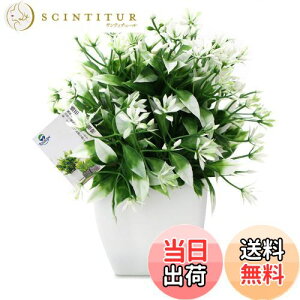 yzTOSSOW lHϗtA  tFCNO[ tFCNϗtA l CeA v[g ΂Ɣt