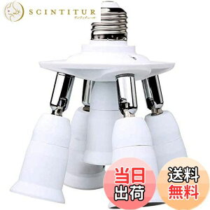 yz8T8 7d\PbgAȃGlvE26x[XAWLEDpA_v^[Ro[^[E26 E27dAƖ (5E26-jo[T)