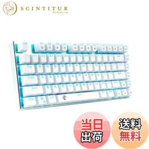 yzefQ[~OL[{[h JjJL[{[h USBڑL 81L[A`S[XgL[ LEDobNCg h@\tQ[}[pz (EzCg)