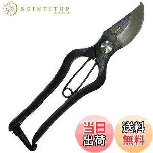 yzߗ^(KONYO) { ł  炩Ȑ؂ƊmȐ؂ꖡ ̂Â̊XuVOsv̏ɂ`Zp 20.5cm