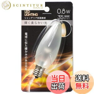 yzI[d@ LEDd VfAd` E17/0.8W dF tXg LDC1L-G-E17 13F 06-4651 OHM