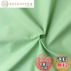 yz{Rtf(Nippon Chuko) GCeBXNGA n n 100% V[eBO xr[O[ O[n Ж110cm×50cmؔJbg KD4630-122-50CM n nn GCeBXNGA