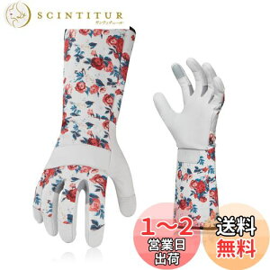 yz[Vgo...] fB[X K[fO[u  rJo[ gQh~ rv| p O  Ɨp (Size L,zCg,GA9658)