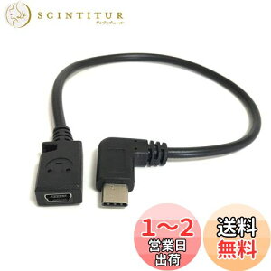 yzAccess E Direct yL^ 25cmz ~jUSB  ^Cv Cϊ P[u + }CNt@Co[NXt USB MiniB 5Pin X to Type C IX L ϊP[u Mini16-M-C