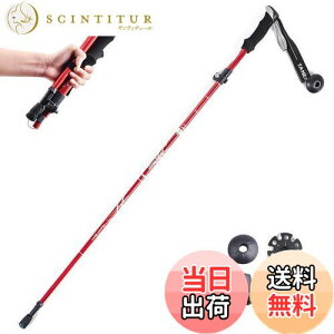 yzTRIWONDER gbLO|[ ܂肽 oRXgbN EH[LO|[ yʃA~ 1{Zbg RpNg [obOtit (bh - 110cm)