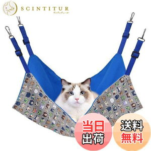 yzL nbN Blueekin LbgnbN q\ 56cm x 46cm ω׏d10KG 傫 ybg xbh ˂nbN P[Wp ʋC ڂ Vя v ې ē~p