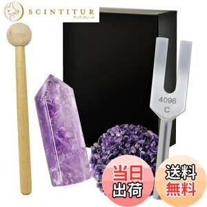 yzNX^`[i[ 4096Hz  VR 򉻗p 5_Zbg bNX {t AWXg WH26 - Purple