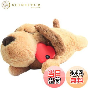 yzDEWU ybgpn[gr[gʂ݁Aqŝ\tgybgg[ʂ݃X[sOofBs⏕sɘa⏕ʂ݃X}[gL