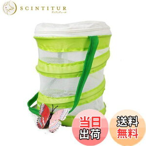 yz P[X P[W lbg ܂ݎ RpNg ̏W  肩 V (14x15cm ی^)