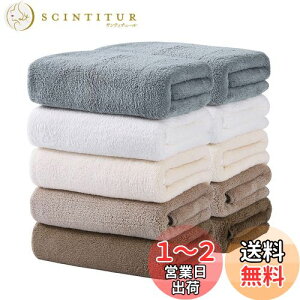 yzOseamaid tFCX^I 5F10 Zbg }CNt@Co[ ^I zRۖhL 34×75cm ( x[W O[ J[LF R[q[F)