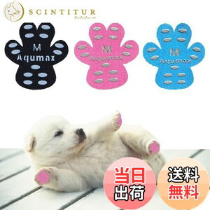 yzAqumax 48 ~ pbh   pbh  ybg CS͂ ~  ی h~ ׂ ~ tbg  p pbh-d؂̏犊藎̂hgNV