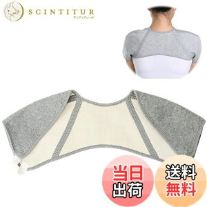 yz[RICISUNG] pT|[^[ p ̕ی EH[}[ \tg₦h~  ۉ [΍ iO[j