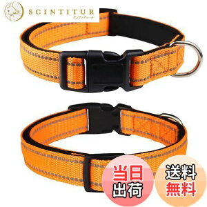 yzTHAIN   ̎ ^A^A^p q  y ybgpi ˍޗ iC ʋC e͐ _炩 ߉\ (L, IW)