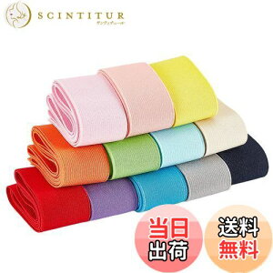 【送料無料】BENECREAT 全長12m幅40mm 平ゴム 織りゴム カラフル 12色 弾性バンド 手芸裁縫 裁縫材料 交換バンド 裁縫用 手芸 交換 手作り素材