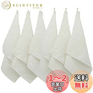 【送料無料】KYOSAMA 食器 だいふきん 雑巾 キッチンタオル 厚手 キッチンクロス マイクロファイバー キッチン用品 布巾 台拭き 鏡拭き ガラス拭き キッチンふきん 台ふきん(ホワイト6枚 )