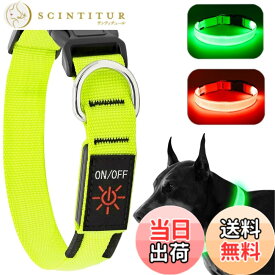 【送料無料】KOSKILL LED光る首輪 犬用 散歩 夜 ライト USB充電式 小型犬 中型犬 大型犬 安全性 サイズ調整可能 視認距離500mで夜間も安心(グリーン, M)