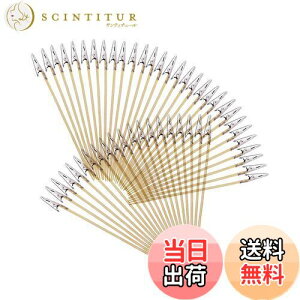 yzYFFSFDC lR̎莝_ yCeBONbv 50{h_ vf zr[php gݗčς Nbv Zbg GAuV