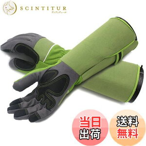 yzTARATI K[fjO K[fO[u vtFbVi T{e [Y o̎  KÑgQ [YO[u ϖ O Ǝ |p 