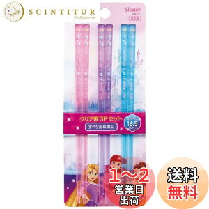 【送料無料】スケーター(Skater) アクリル製 クリア 箸 16.5cm 3膳組 ディズニー プリンセス 日本製 AA2T-A