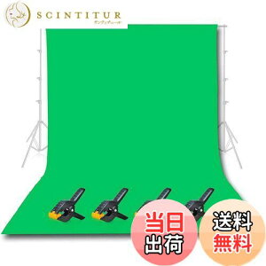 yzEMART wiz  z O[obN 300cmx360cm  Rcgn Be wi XN[ wi v z[Ή ʐ^Be X^WIwi XN[V[g wiV[g wiX^h 