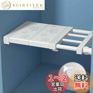 yzaleawol ˂I ςI ǌ^ ͐LkI 30cm`40cm s24cm ~ ς_ I ǖʎ[ I  hsvACނ̃[h[udǁA^C