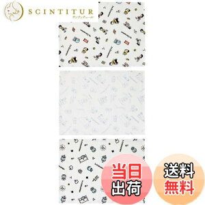 yzXP[^[ (skater) btnӂ3 I'm h TI 31×41cm KFWC3-A