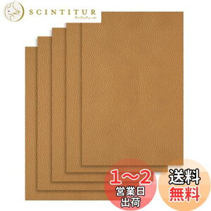 yzDERAYEE \郌U[  n \t@[CV[ ڒ ϋv CV[g oCN V[g C vV[g h (J[LF, 20X30cm)