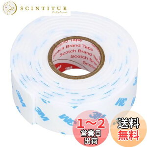 【送料無料】エーモン(amon) 超強力両面テープ (サイドスカート・ハーフバンパーなどに) 車外用 白 幅25mm×長さ1.2m×厚さ2mm 3977