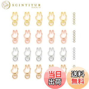 yzYFFSFDC L[z_[ 20 ]Jt ^b`L[z_[ JCC DIYpp[c  L[O Vo[ S[hȂ4F (eL[z_[)