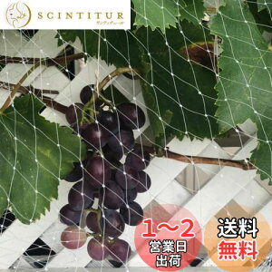 yz悯lbg x_ hlbg FŎEՂȂ ^Ȓ̐Nh~ JX  Q΍ h u[x[؍͔|ʎȂǂ̎蔵lb