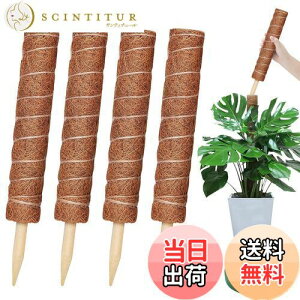 yzYOUSHY440cm|x ϗtAXe x wSx鐫A ϗtA RRXeBbNx AT|[gt[X^h RRibcx Ԏx K[fjOx _